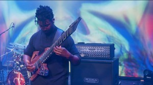 Animals As Leaders - Physical Education
